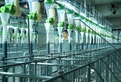 用户正在获得熟悉感、共识感的同时找到了一个 